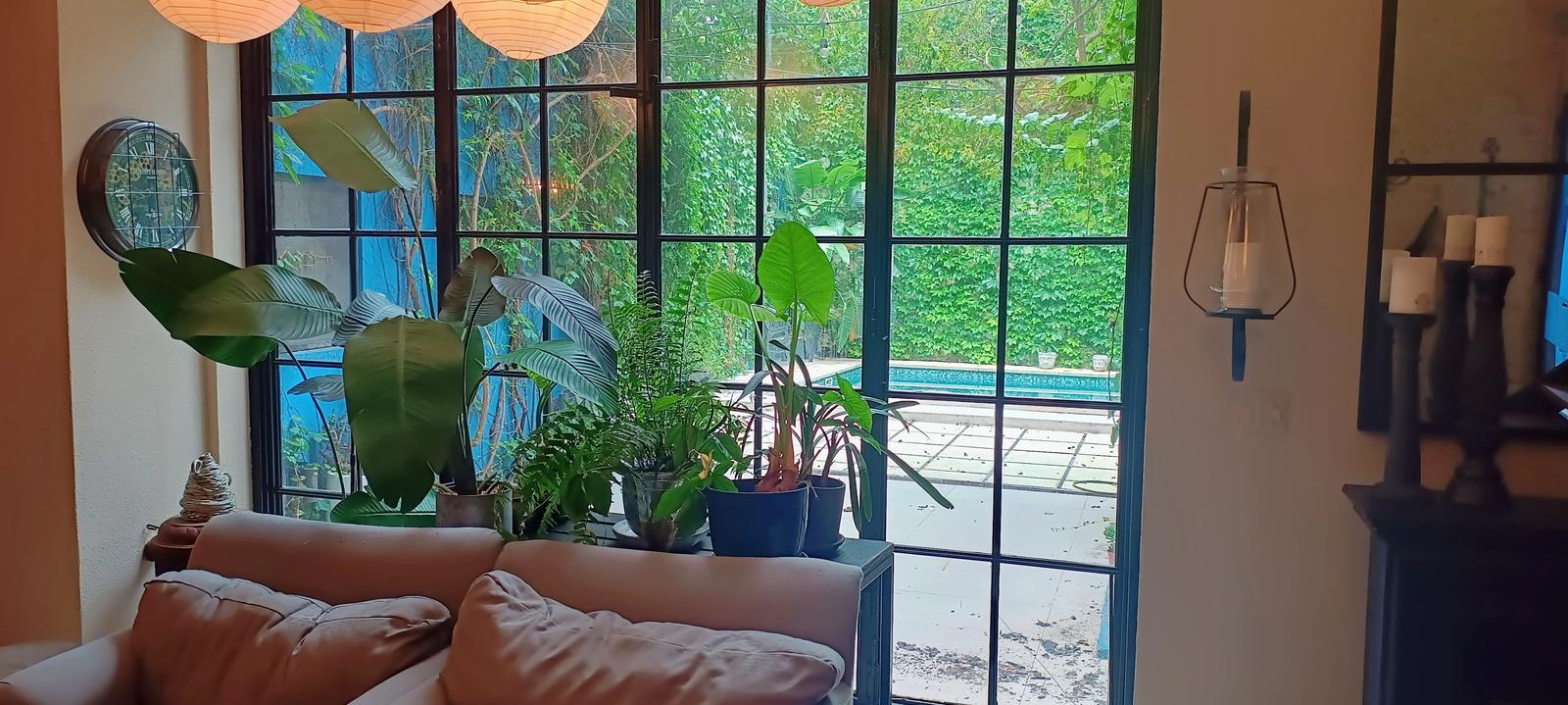 vista_interior_piscina